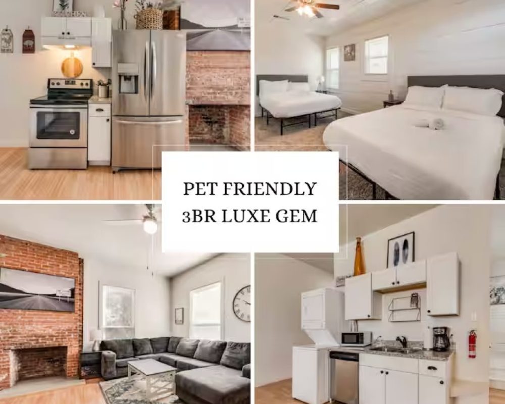 imgi_2_becd6fa6-5c39-4b0d-98c4-5ddd70d1ffee