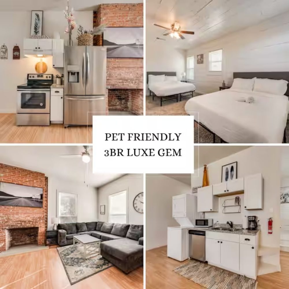 imgi_2_becd6fa6-5c39-4b0d-98c4-5ddd70d1ffee